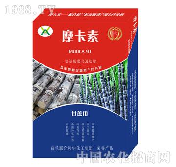 ���ጣ(zhu��n)�ð���������Һ��