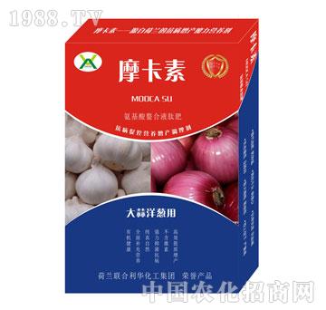 �������[��(zhu��n)�ð���������