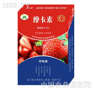 ��ݮ��(zhu��n)�ð���������Һ��