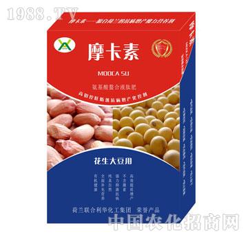 �����󶹌�(zhu��n)�ð���������