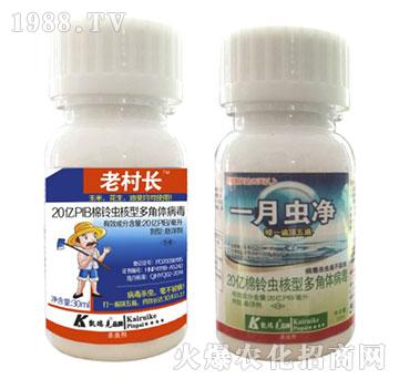 棉鈴蟲核型多角體病毒-老村長(zhǎng)+一月沖凈-凱瑞克