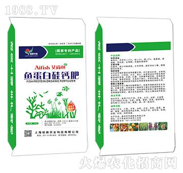 �~(y��)���׹��}��-�����~(y��)-