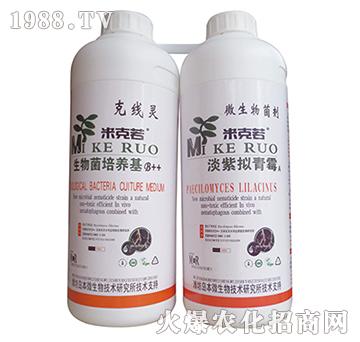 淡紫擬青霉組合-華濱