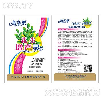 花生增產(chǎn)靈-加多果-地衛(wèi)士
