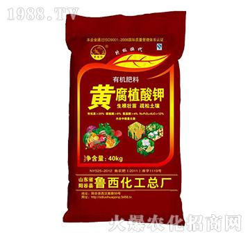 黃腐植酸鉀有機肥料-魯西化工