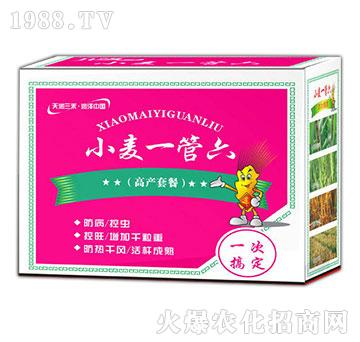 小麥一管六（高產(chǎn)套餐）-天潤(rùn)三禾