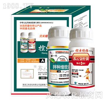 ���x�^�����b-�읙����