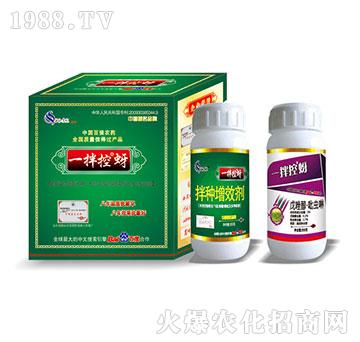 һ�����ϵ�зN��-�읙����