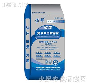 50%海藻復(fù)合微生物菌肥-佐邦