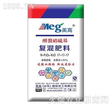 ȩ���������(f��)�����17