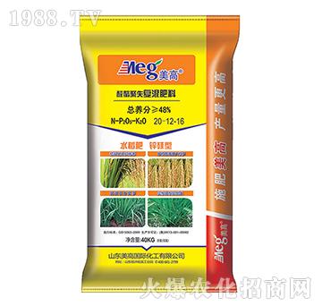 ��ȩ��ʧ��(f��)�����20-