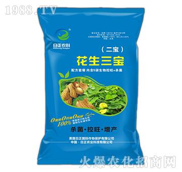 花生三寶（二寶）-日正農(nóng)科