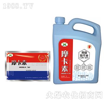 ����־����AҺ���ؼӴ�