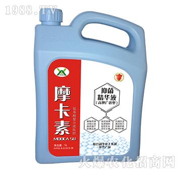 ����־����AҺ���V�V��