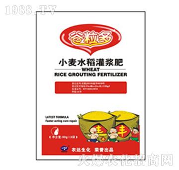 小麥水稻灌漿肥-谷粒多-農(nóng)達(dá)生化