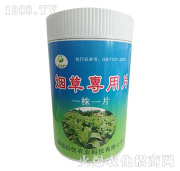 ���݌���Ƭ��һ��һƬ��-�Ƅ�(chu��ng)