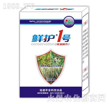 �r�o(h��)1̖(h��o)-�Խ