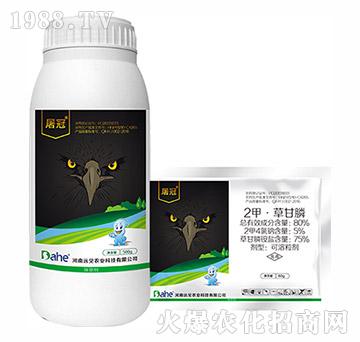 80%���ס��ݸ��-��