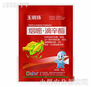 40%���ס�����֬-��