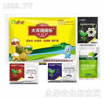 大河田田樂(lè)增產(chǎn)套餐-遠(yuǎn)見農(nóng)業(yè)