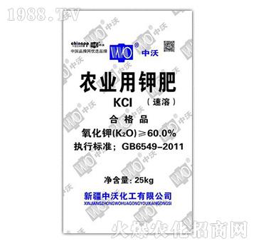 �r(n��ng)�I(y��)��⛷ʣ����ܣ�-���ֻ���