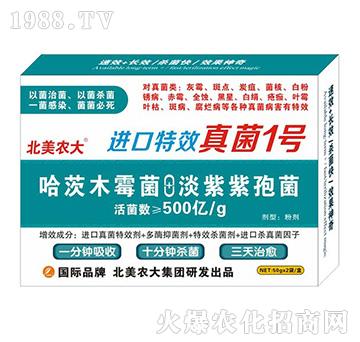 �M����Ч���1̖-�����r(n��ng)��