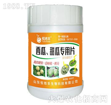 西瓜、甜瓜專用片（一棵一片）-悅地豐