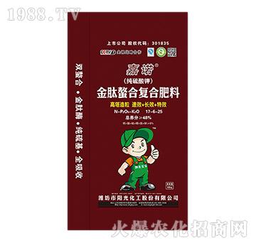 �������Ϗ�(f��)�Ϸ���17-