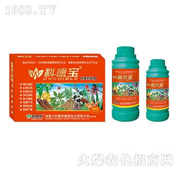 �в�ˎ���àI�B(y��ng)���a(ch��n)�{(di��o)��