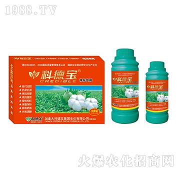 �޻����àI�B(y��ng)���a(ch��n)�{(di��o)�턩