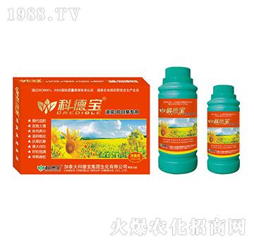 �Ͳˡ����տ����àI�B(y��ng)��