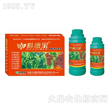 ���ѡ����ӌ��àI�B(y��ng)���a(ch��n)