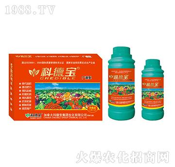 �V�V�͠I�B(y��ng)���a(ch��n)�{(di��o)�턩-