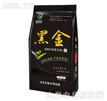 黑金-日正農(nóng)業(yè)