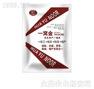 花生高產(chǎn)一遍成-一窩金-諾爾