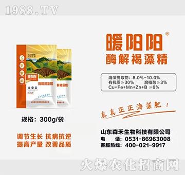 ø����徫-ů�(y��ng)�(y��ng)-ɭ������