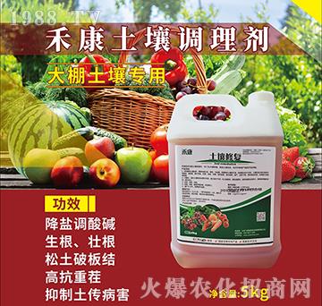 禾康大棚土壤調(diào)理劑-飛鷹綠地