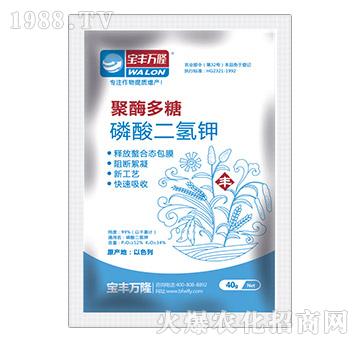 ��������-��ø����-���S�f¡