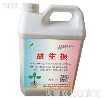 含腐植酸水溶肥料-益生根-正陽農(nóng)業(yè)