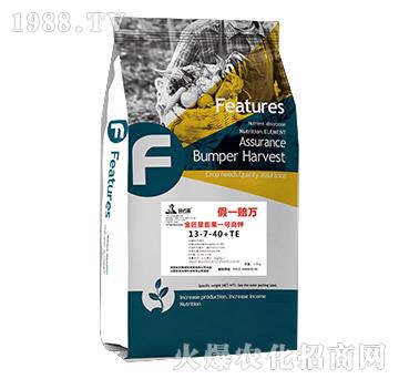 �������һ̖���13-7-40+TE-����