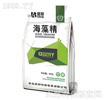 超濃縮微碳海藻生物刺激素-海藻精-愛邦