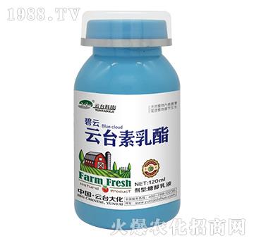 ���_������-���_��