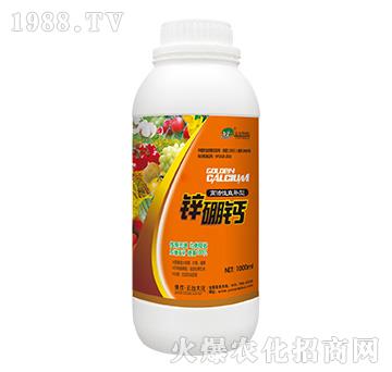 �߻���ֱ�a���\���}-��