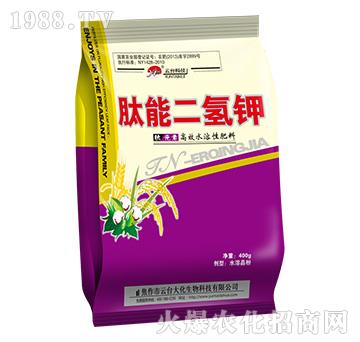 400g���ܶ����-��