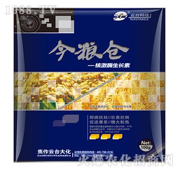 �˼�ø���L��-��Z�}-