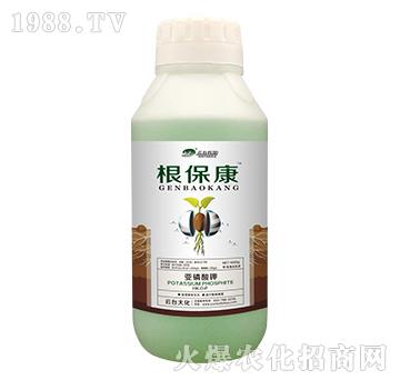 1000g������-���_