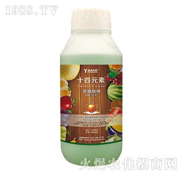 1000gʮ��Ԫ��-��