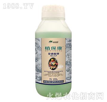 1000gֲ����-���_