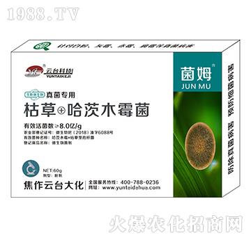 真菌專(zhuān)用菌姆-云臺(tái)大化