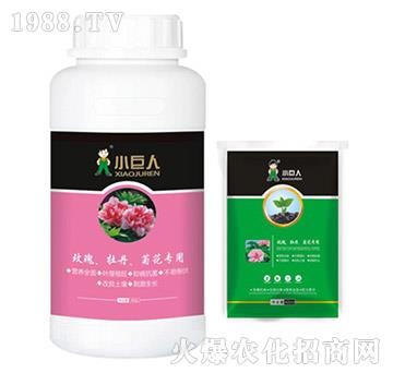 õ�塢ĵ�����ջ������{(di��o)��(ji��)��-С����